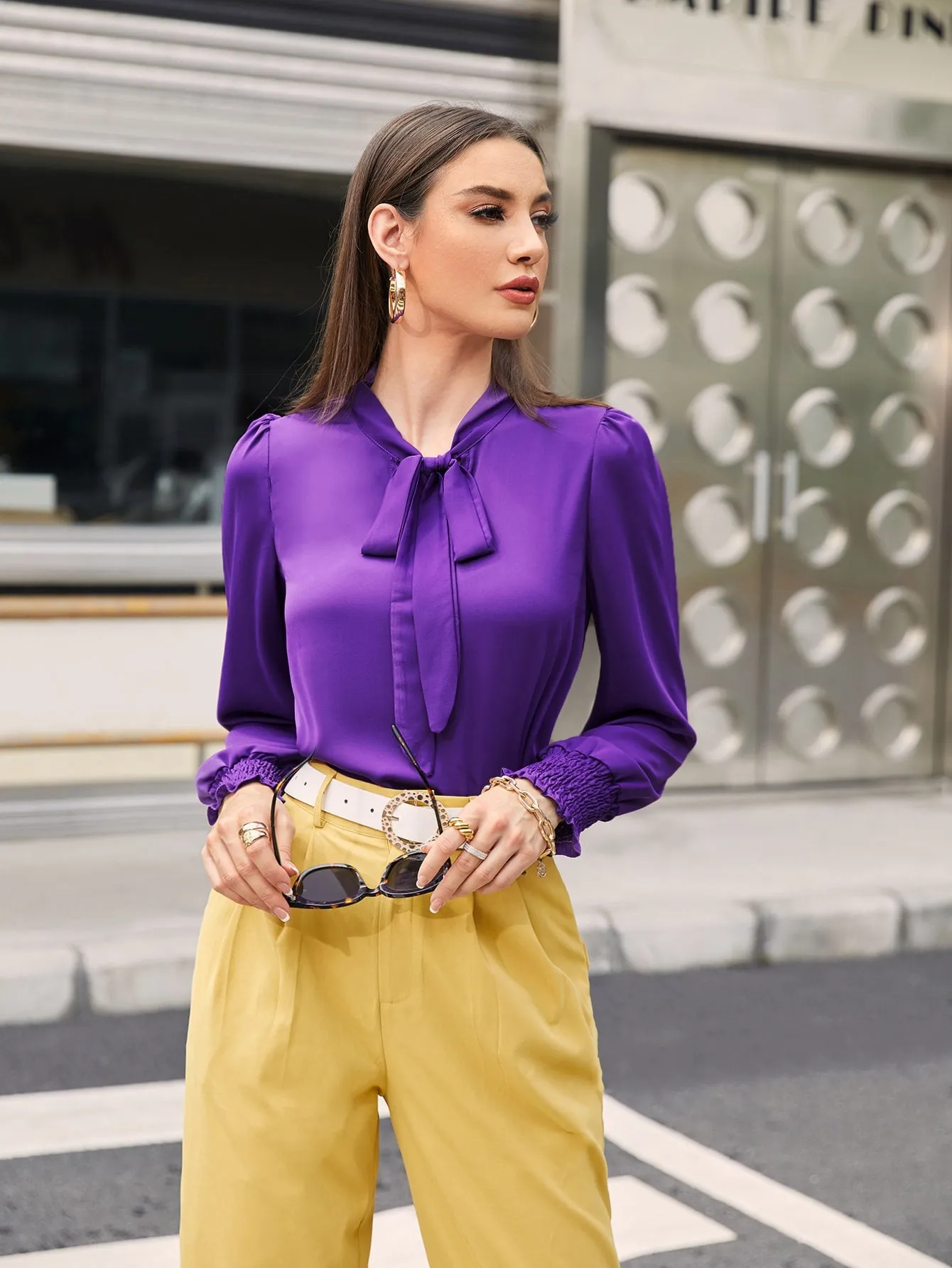 Elegant Plain Tie Front Long Sleeve Tie Neck Regular Blouse