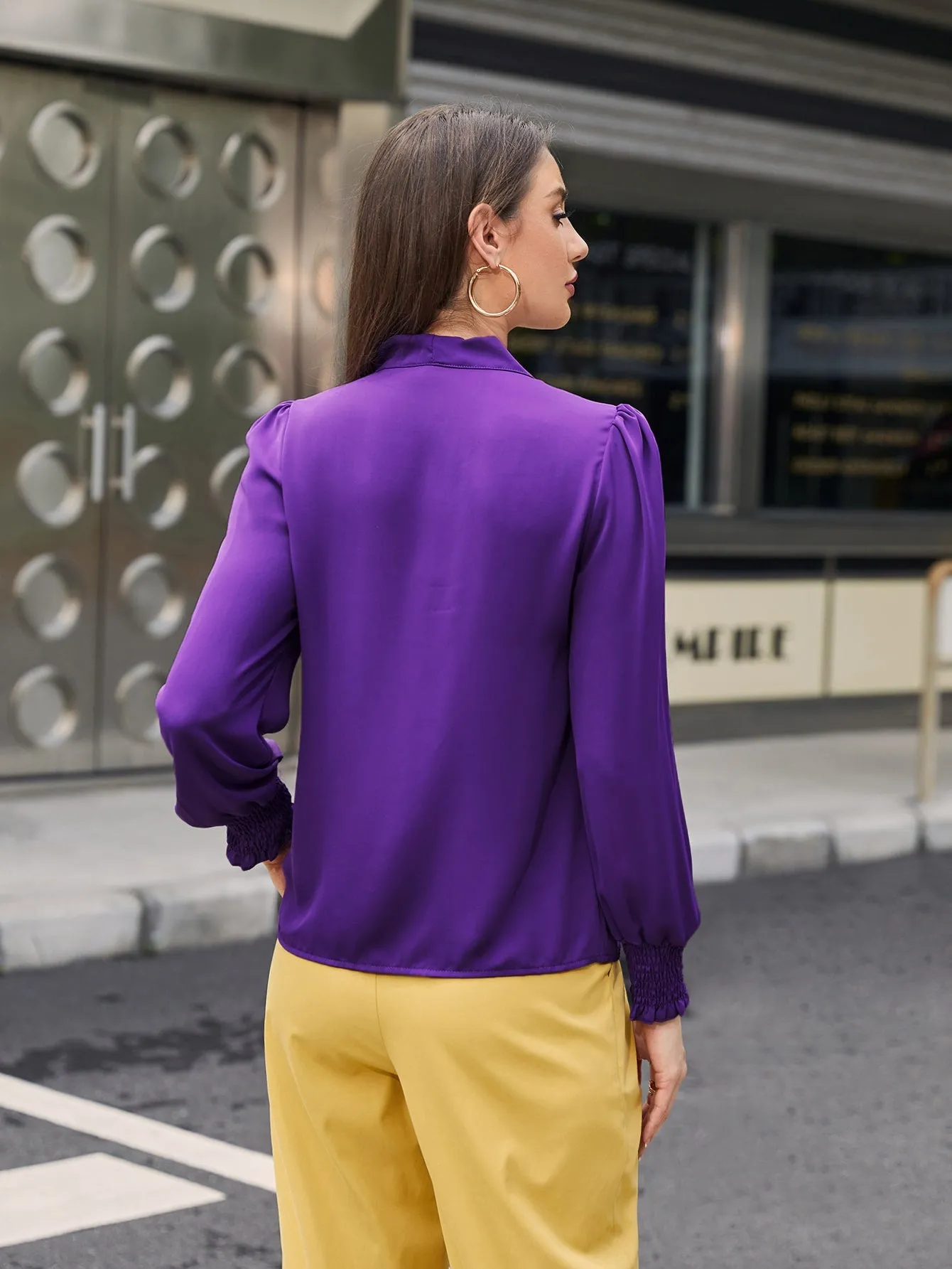 Elegant Plain Tie Front Long Sleeve Tie Neck Regular Blouse